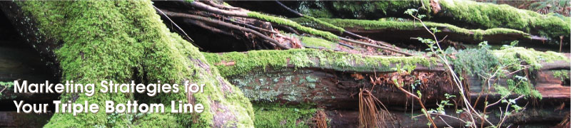 ecoeco - Marketing strategies for your Triple Bottom Line